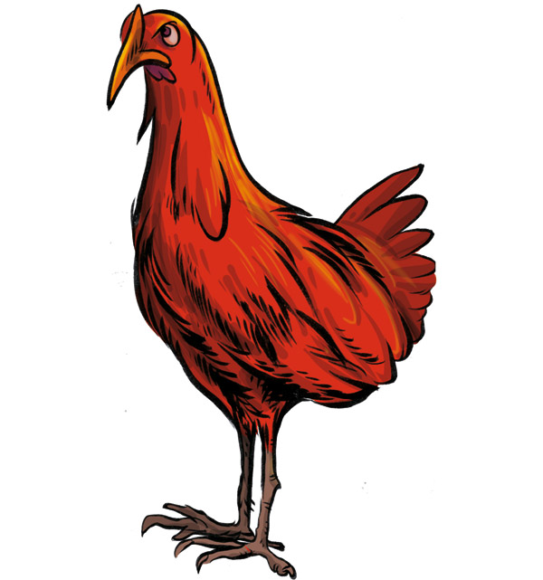 Chicken Food card